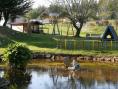 camping Colombres00013