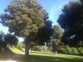 camping Arenal de Moris00001